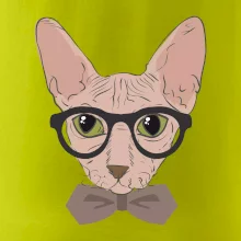 Hipster sphynx Hipster sphynx