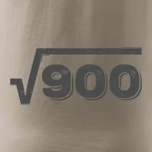 Narodeniny odmocniny 30