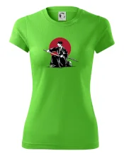 Japan culture - samurai