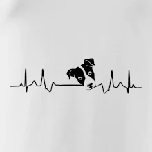 Jack Russell Terriér Ekg