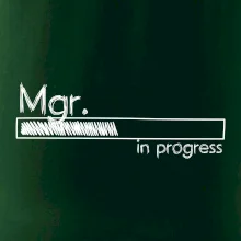 In progress titul Mgr. magister / magistra