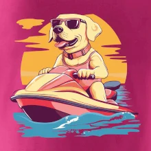 Zlatý retriever na vodnom skútri