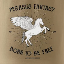 Pegasus fantasy
