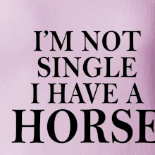 I have a horse