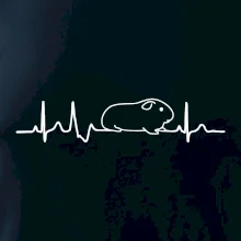 EKG morča EKG morča