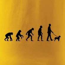 Lagotto romagnolo Evolúcia