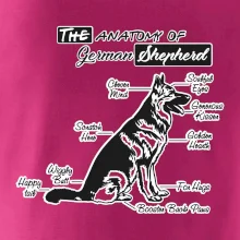 Nemecký ovčiak - Anatómia