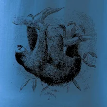 Leňochod kreslený Leňochod kreslený