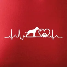 Nemecký boxer EKG