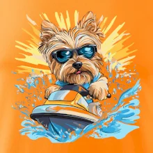 Yorkšírsky teriér na vodnom skútri