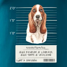 Baset - lump a darebák   Baset - lump a darebák