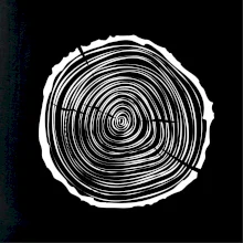 Letokruhy 25 bez veku