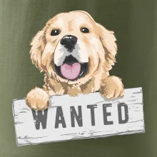 Zlatý retriever - šteniatko wanted