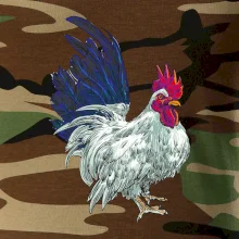 Kohút kreslený biely