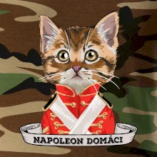 Napoleon domáci mačka