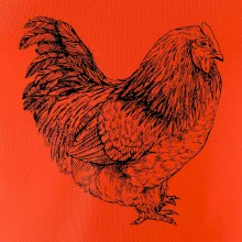 Sliepka čiernobiela Sliepka čiernobiela