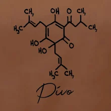 Barová chémia - pivo Barová chémia - pivo