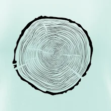 Letokruhy 75 bez veku