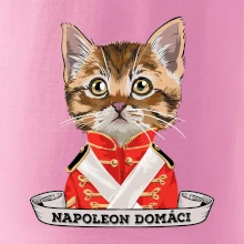 Napoleon domáci mačka