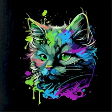 Obrázok kočky v roztrúsenej farbe