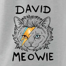 David Meowie