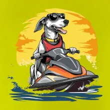 Chrt na vodnom skútri