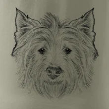 Teriér kresba