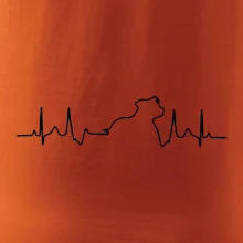 Stafordšírsky bulteriér ‎ EKG