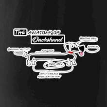 Jazvečík - Anatómia