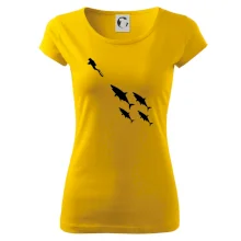 Potápač žraloky Potápač žraloky