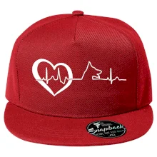 Nemecký ovčiak ekg Nemecký ovčiak ekg