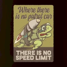 Korytnačka na cestách