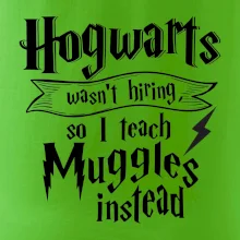Harry - Hogwarts wasn’t hiring, so I teach Muggles instead