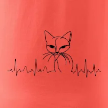 EKG krivka mačka