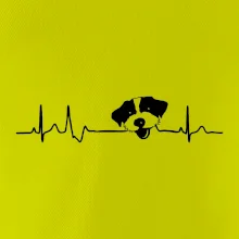 Jack Russell Teriér hrubosrstý Ekg