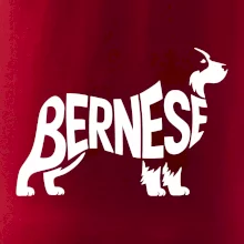 Bernese Mountain Dog nápis v tele