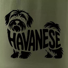 Havanese nápis v tele