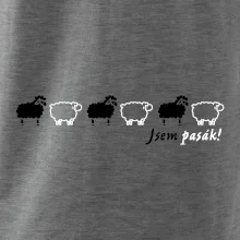 Som pasák - ovce v rade