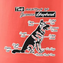 Nemecký ovčiak - Anatómia Nemecký ovčiak - Anatómia