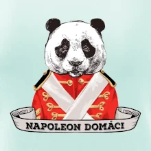 Napoleon domáci panda