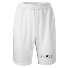 Shiba-Inu EKG Shiba-Inu EKG