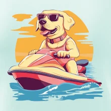 Zlatý retriever na vodnom skútri