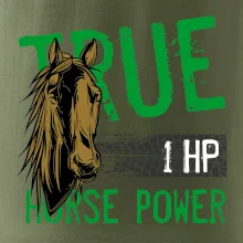 True Horse Power 1 HP