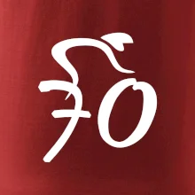 Cyklista oslavuje sedemdesiatku (70)