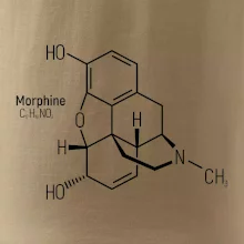 Molekulárna štruktúra Morfín