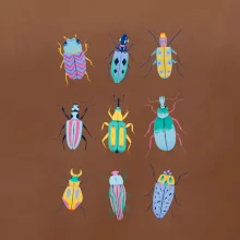 Farebné chrobáky (studio-arte.cz)