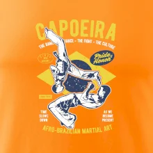 Capoeira  Afro-brazil art