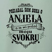 Požiadal som Boha o anjela a on mi poslal moju svokru