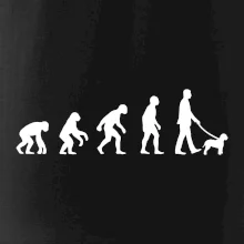 Lagotto romagnolo Evolúcia