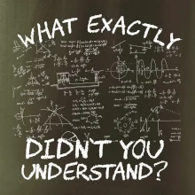 What exactly didn't you understand - physics What exactly didn't you understand - physics